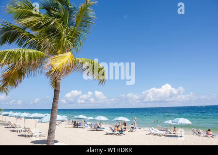 Fort Ft. Lauderdale Florida Beach,North Atlantic Avenue,A1A,public beach,palm tree,umbrella,lounge chair,ocean,shoreline,sand,leisure,surf,FL091010103 Stock Photo