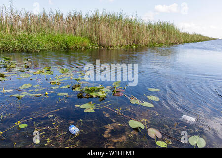 Miami Florida,I 75,Interstate 75,Alligator Alley,The Everglades,canal,grass,saw grass marshes,wetland,ecosystem,drainage,pollution,aluminum can,trash, Stock Photo