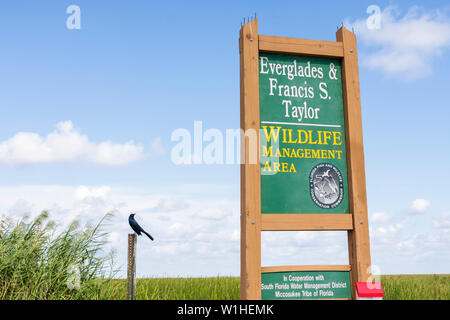 Miami Florida,I 75,Interstate 75,Alligator Alley,The Everglades,Francis S. Taylor Wildlife Management Area,sign,ecosystem,freshwater marsh,bird,grass, Stock Photo