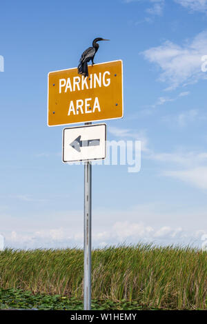 Miami Florida,I 75,Interstate 75,Alligator Alley,The Everglades,rest stop,parking area,sign,arrow,saw grass marshes,wildlife,ecosystem,water bird,Anhi Stock Photo