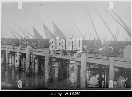 Photograph of Italian Fishermen Mending Nets on a Wharf in San Francisco, California Harbor, ca. 1891 - ca. 1891; Scope and content:  Original caption: Italian fisheries - San Francisco Bay. The photograph was taken by Charles H. Townsend. Stock Photo