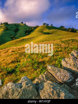 Coastal Hills, Bolinas Ridge, Mount Tamalpais State Park, Golden Gate National Recreation Area, Marin County, California Stock Photo