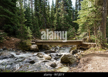 fast mountain stream at summer time in in garibaldi provincial park canada. Stock Photo