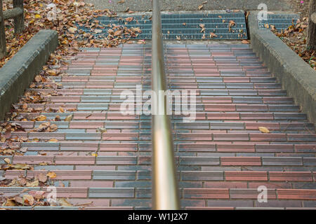 Stairs covered with autumn dry leaves. Stock Photo