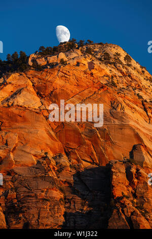 Moon rising over Zions National Park Stock Photo - Alamy