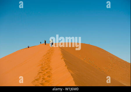 Hikers climbing up a sand dune ridge at Sossusvlei, Namib-Naukluft National Park, Namibia. Stock Photo