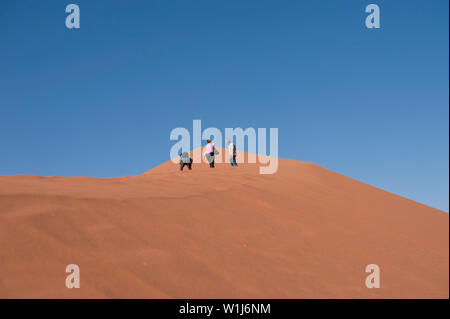 Hikers climbing up a sand dune ridge at Sossusvlei, Namib-Naukluft National Park, Namibia. Stock Photo