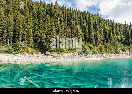 view at Garibaldi lake beautiful sunny morning with forest on mountain. Stock Photo