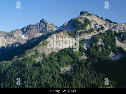 USA, Washington, Mt. Rainier National Park, Unicorn Peak and the Tatoosh Range rise above evergreen forest. Stock Photo