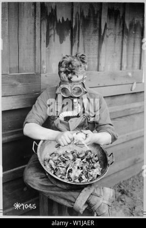 Soldiers trying out their gas masks in every possible way. Putting the respirator to good use while peeling onions. 40th Division, Camp Kearny, San Diego, California.; General notes:  Use War and Conflict Number 454 when ordering a reproduction or requesting information about this image. Stock Photo