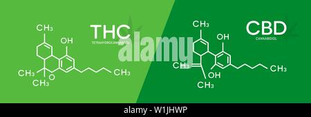 THC and CBD formula. Tetrahydrocannabinol and cannabidiol molecule structure. Stock Vector