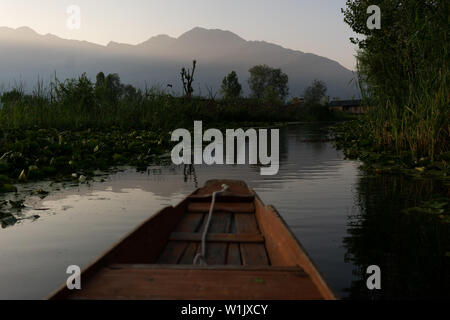 Snippets of the life on Dal Lake in Srinagar, Kashmir Stock Photo