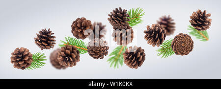 Brown pine cones with fir tree branches close up Stock Photo