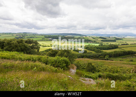 The scenic countryside between Rothbury and Alnwick with the Cheviot Hills in the background in north east England, UK Stock Photo