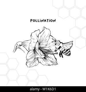 Insect Pollinator Line art Petal Sketch, Strawberry outline, white,  symmetry, monochrome png | PNGWing