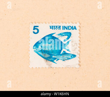 INDIA - CIRCA 1970: A stamp printed in India shows some fish, circa 1970 Stock Photo