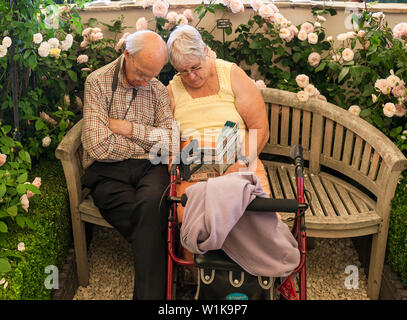 Senior couple sleeping on a bench surrounded by roses, at the RHS Hampton Court Palace Garden Festival. Stock Photo