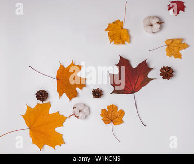 Creative autumn composition with yellow and red leaves, pine cones and cotton buds on the white background Stock Photo