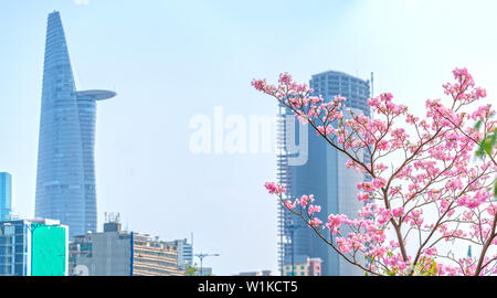 Tabebuia rosea or pink blooming trumpet with the background silhouette of skyscrapers or apartment buildings Stock Photo