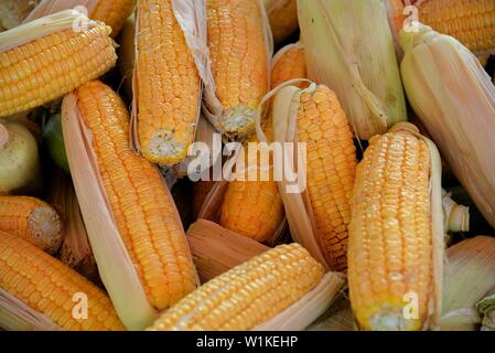 Corn on the cob on a vendor's stall. Stock Photo