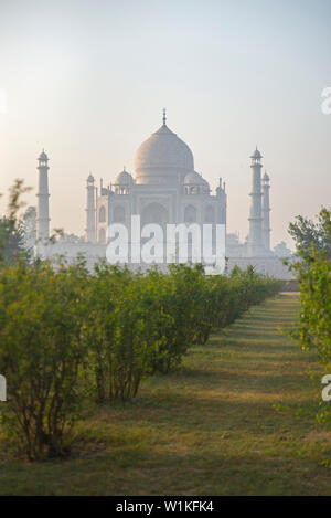 Taj Mahal at sunrise, Agra, India Stock Photo