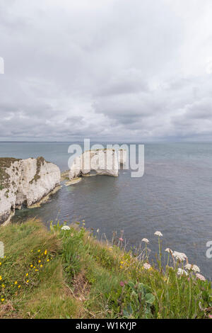 Old Harry Rocks at Handfast Point, Isle of Purbeck, Jurassic Coast, a UNESCO World Heritage Site in Dorset, England, UK