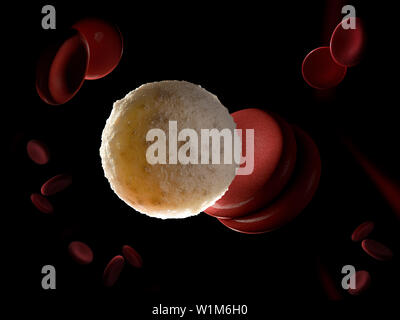 3d rendered illustration of a white blood cell. Stock Photo