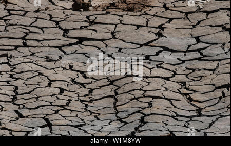 03 July 2019, Hessen, Frankfurt/Main: The soil on a construction site on the banks of the Main River is cracked and dried out. In the coming days it will remain hot in some regions of the country. Photo: Boris Roessler/dpa Stock Photo