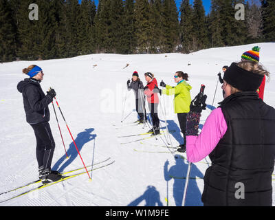 Participants learning cross country skiing course with female teacher, Black-Forest, Baden-Württemberg, Germany Stock Photo