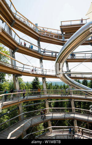 Treetop trail on Mt Sommerberg, Bad Wildbad, Black Forest, Baden-Wuerttemberg, Germany Stock Photo