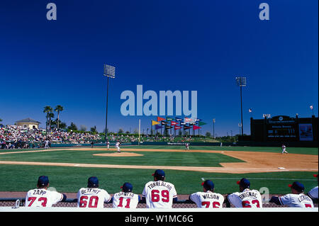 Baseball complex, Disneyworld, Orlando Florida, USA Stock Photo