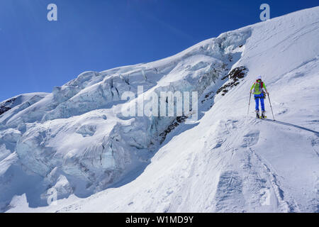Woman back-country skiing ascending towards icefall, Punta San Matteo, Val dei Forni, Ortler range, Lombardy, Italy Stock Photo