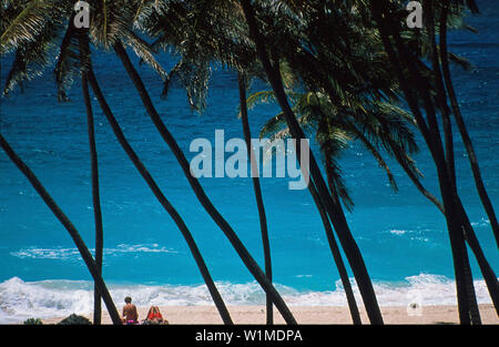 Strand, Bottom Bay, Barbados, Karibik Stock Photo