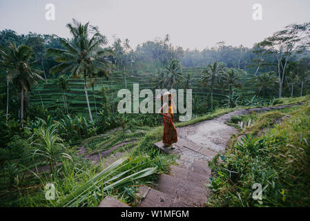 Beautiful girl visiting the Bali rice fields in tegalalang, ubud. Concept about people, wanderlust traveling and tourism lifestyle Stock Photo