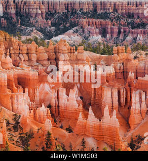 Sunset Point, Bryce Canyon National Park, Utah, USA Stock Photo
