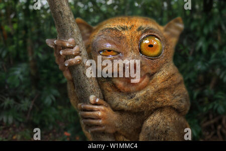 Tarsier in the jungle of Bohol Island, Visayas, Philippines, Asia Stock Photo