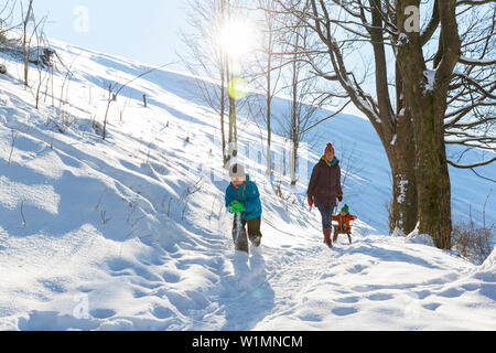 Young family in the snow in winter, boy and mother pulling daughter on a sledge, Harz, MR, Sankt Andreasberg, Lower Saxony, Germany Stock Photo