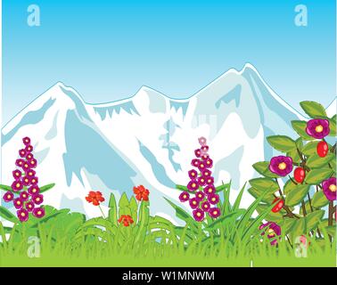 Flowering year meadow with green herb on background of the snow mountains Stock Vector