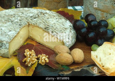 Kaeseplatte, Auvergne Frankreich Stock Photo