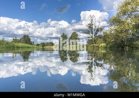 View on the river landscape of the lower Spreewald in calm conditions and sunshine. Reflections on the water surface of clouds, trees and sky, biosphe Stock Photo