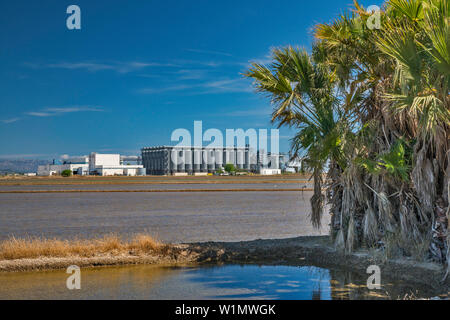 Grain elevator, palm trees in paddy field for growing rice in delta of Rio Ebro, near Deltebre, Catalonia, Spain Stock Photo