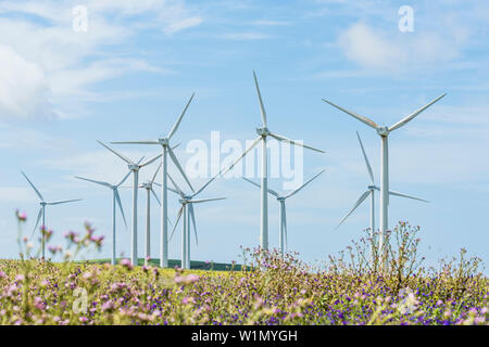 Wind power station, Tarifa, Costa de la Luz, Cadiz, Spain Stock Photo