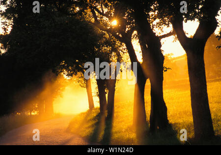 Landschaft, Abendstimmung Stock Photo
