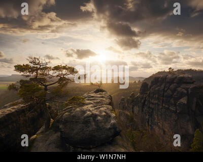 Early spring sunset above the Lehnriff with its iconic pine tree and the silhouette of Rauschenstein in the background, National Park Saxon Switzerlan Stock Photo