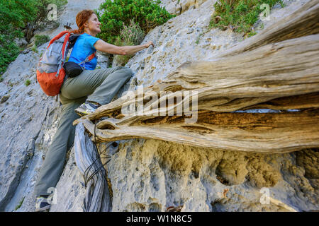 Woman climbing over juniper branches, Selvaggio Blu, National Park of the Bay of Orosei and Gennargentu, Sardinia, Italy Stock Photo