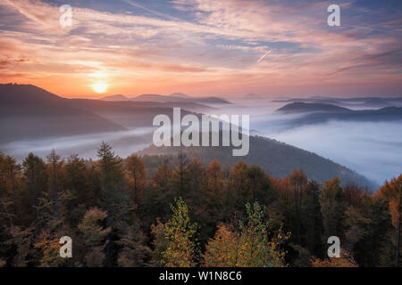 Foggy sunrise at the Kirschfelsen, view over the Palatinate forest, Palatinate Forest, Rhineland-Palatinate, Germany Stock Photo