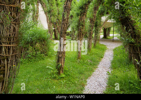 Weidendom in National Park Center Gesäuse, Ennstaler Alps, Johnsbach, Styria, Austria Stock Photo