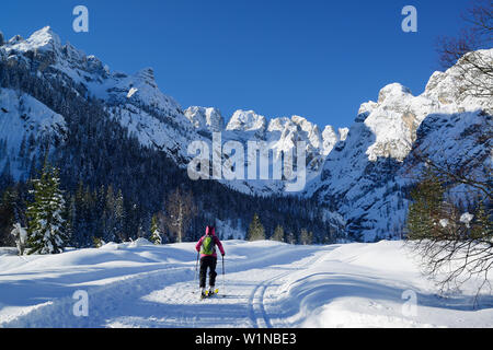 Female back-country skier ascending to Cristallo wind gap, Cristallo, Dolomites, Belluno, Veneto, Italy Stock Photo
