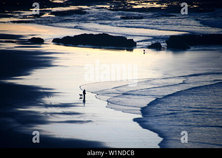 Man with dogs on Clerico beach near Aljezur, Costa Vicentina, Algarve, Portugal Stock Photo