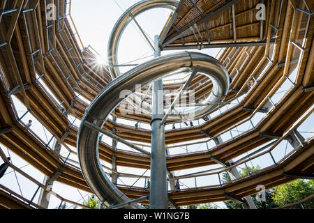Treetop trail on Mt Sommerberg, Bad Wildbad, Black Forest, Baden-Wuerttemberg, Germany Stock Photo